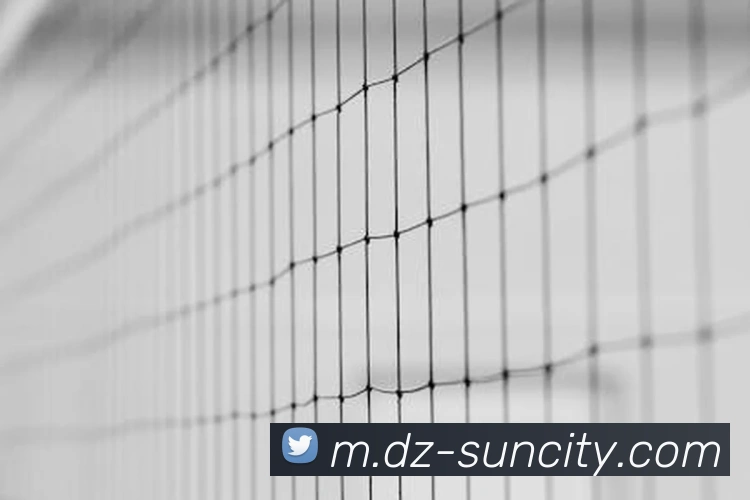 太阳城平台APP 封面图